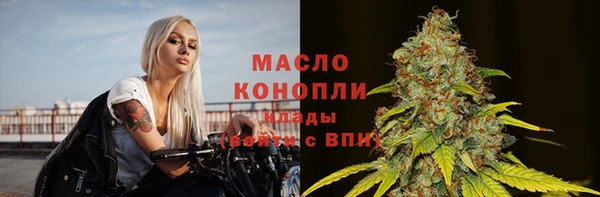 крисы Надым