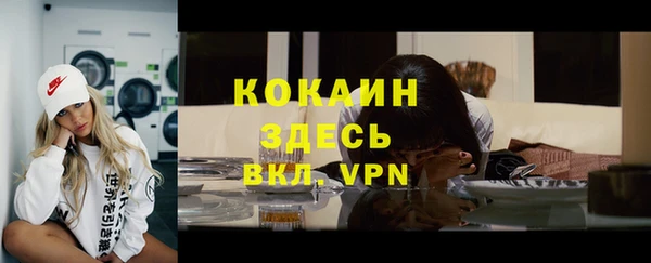 сатива Наволоки
