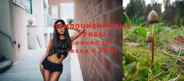 не бодяженный Михайловск