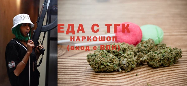 крисы Надым